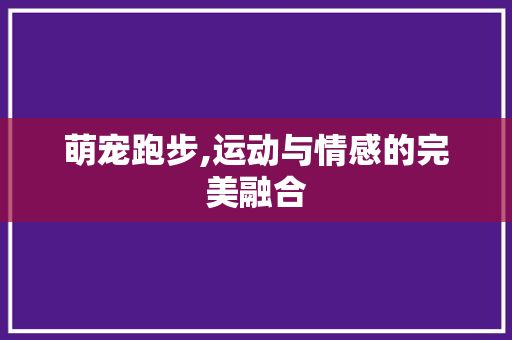 萌宠跑步,运动与情感的完美融合