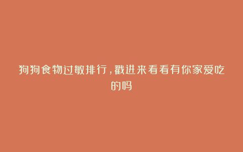 狗狗食物过敏排行,戳进来看看有你家爱吃的吗?