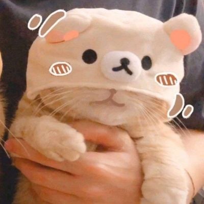 可爱猫咪头像超萌