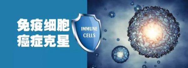借力打力，癌症免疫疗法——新型癌症治疗模式，有望撑起