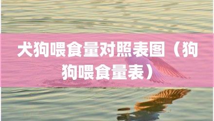 犬狗喂食量对照表图（狗狗喂食量表）