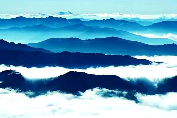 宠物医院排行榜揭晓：哪些医院值得信赖，多久需要带宠物就诊一次？ - 4188云顶