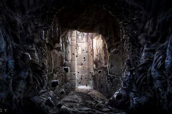 宠物医院排行榜揭秘：如何选择性价比高的宠物医院？ - 4188云顶