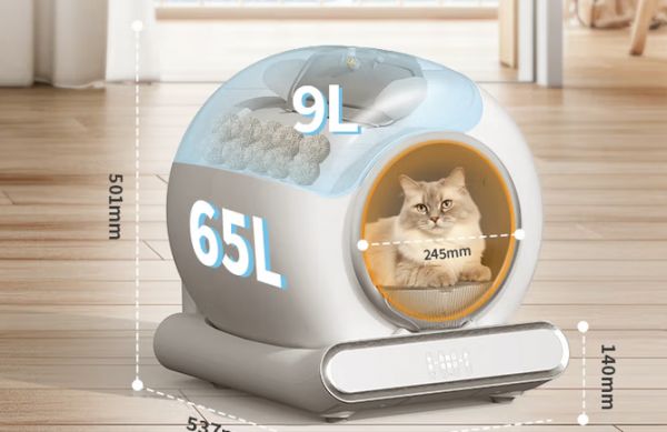 LELO小尼：滚筒式结构与感应避障技术的创新融合