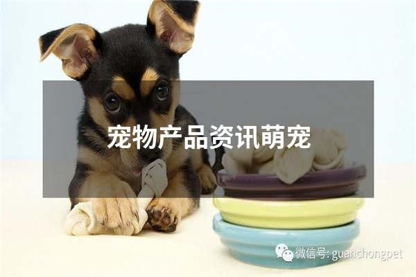宠物产品资讯萌宠
