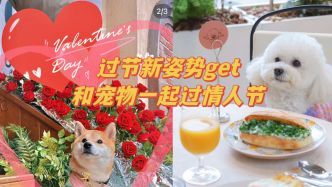 8.0宠物：如何让你的宠物更健康？宠物饮食、运动、护理全指南