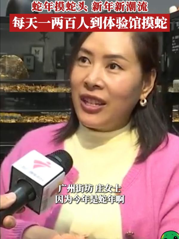 蛇年摸蛇头,新年新潮流,每天一两百人到体验馆摸蛇