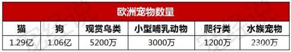 宠物热潮席卷欧洲！拆解欧洲市场的亮点、趋势及对我国的启示