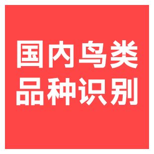 【快瞳AI】鸟类品种识别_国内2000+鸟类品种识别_鸟类生态监测/智能喂鸟器-支持私有化/边缘部署-logo