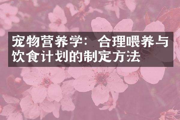 宠物营养学：合理喂养与饮食计划的制定方法