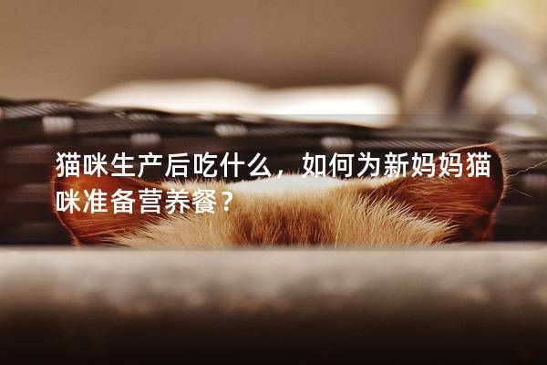 猫咪生产后吃什么，如何为新妈妈猫咪准备营养餐？