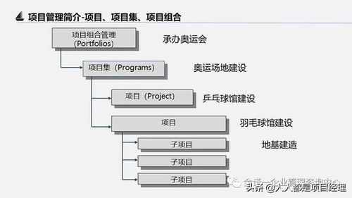 宠物繁殖基本流程与技巧解