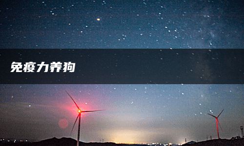 免疫力养狗