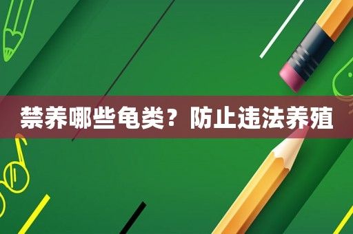 禁养哪些龟类？防止违法养殖