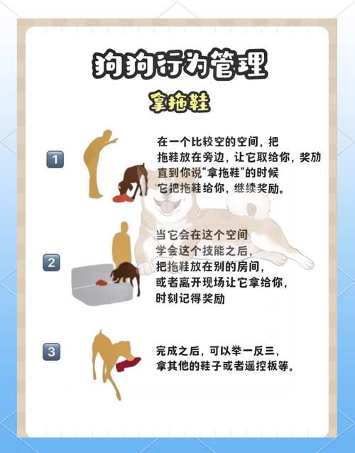 如何训练狗狗异食癖
