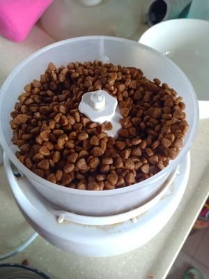 适合老年猫和离乳期小猫的猫饭1的做法 步骤1