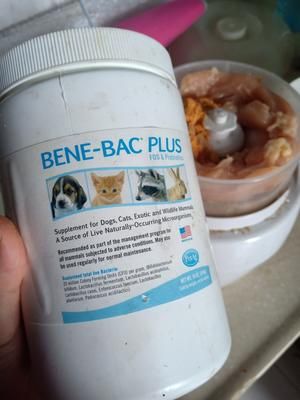 适合老年猫和离乳期小猫的猫饭1的做法 步骤7