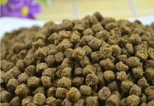 成犬的狗粮喂养指南（掌握适量喂养技巧）