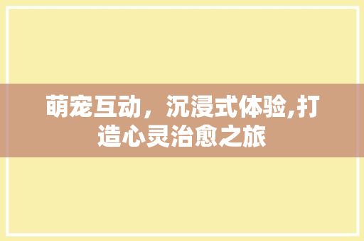 萌宠互动，沉浸式体验,打造心灵治愈之旅