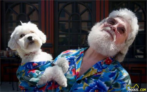 常见犬性格特点！你家狗狗是这样的吗？