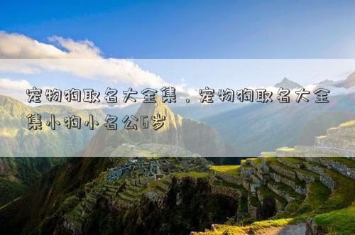 宠物狗取名大全集，宠物狗取名大全集小狗小名公6岁