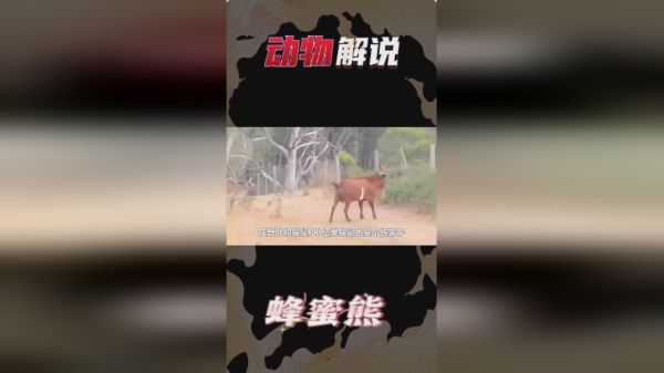 这只羊是高手！跳上船一刹那，居然避开了栏杆，太帅了！