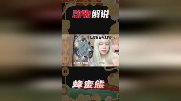 在狗狗面前扯掉自己的舌头，它会有什么反应？接下来忍住别笑