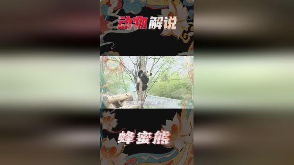 饲养员发现少了一只熊猫，抬头看后，直接慌了：我滴亲娘嘞