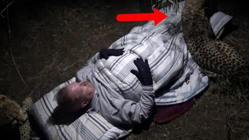 男子半夜感觉“异常暖和”，睁眼看清后，默默闭上了双眼！