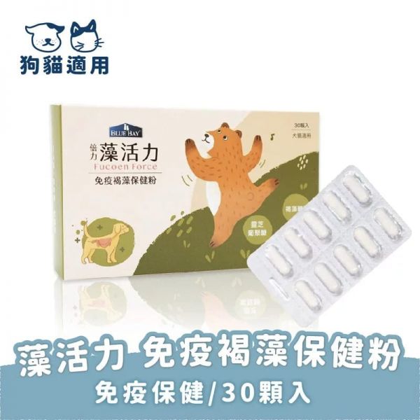狗狗免疫力提升貓免疫力提升推薦：倍力