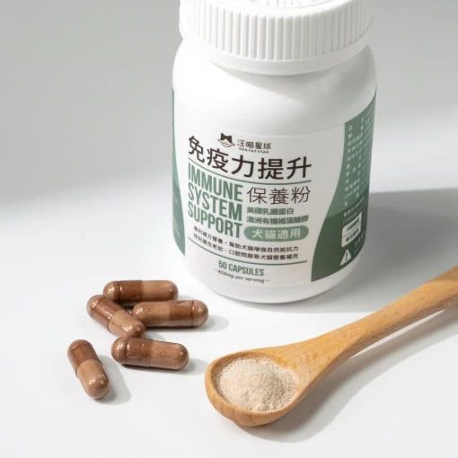 狗狗免疫力提升貓免疫力提升推薦：汪喵星球