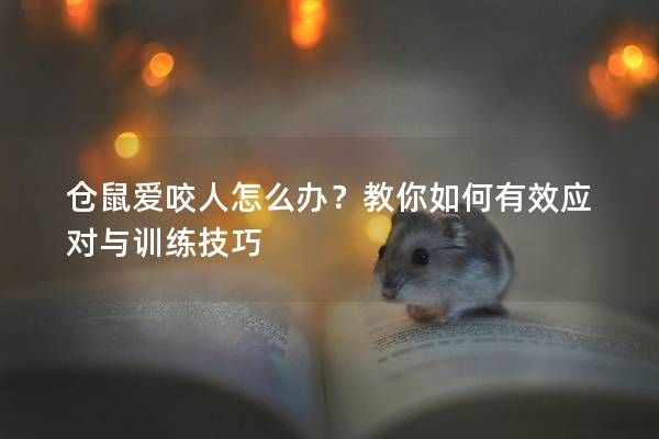 仓鼠爱咬人怎么办？教你如何有效应对与训练技巧