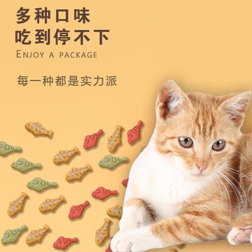 关于宠物消费的调查报告_宠物市场经济分析_