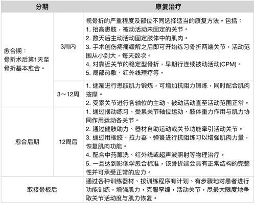 宠物骨折急救与康复护理指南