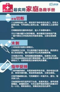 骨折宠物饮食选择指南