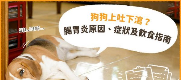 狗肠炎恢复期表现及护理措施（了解狗肠炎的恢复过程，帮助宠物康复健康）