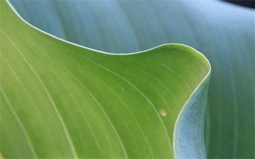 8种蔬菜任意选择3样有多少种方案
