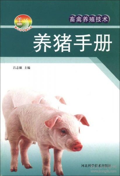 胡利亚尼猪养护指南，新手必看！