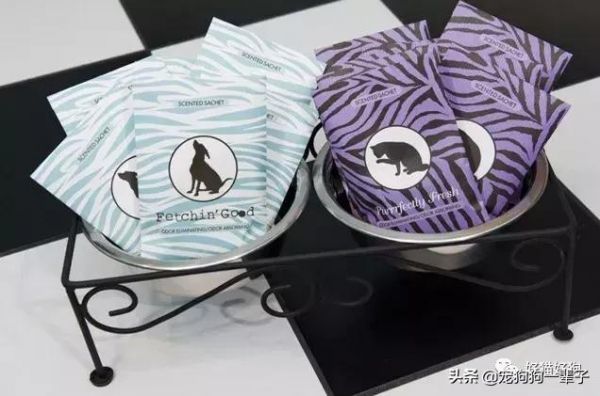 送给爱狗人士的9种礼物，第4种特别适合女性朋友 送女朋友什么礼物