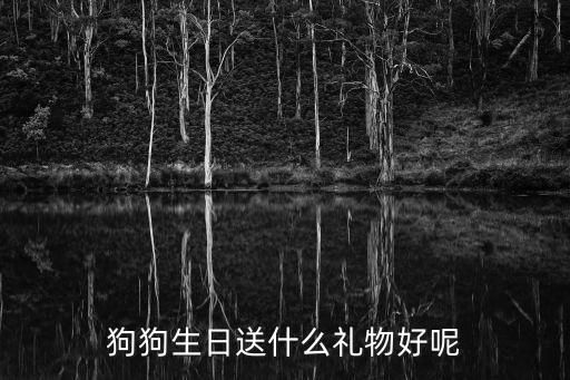 狗狗生日送什么礼物好呢