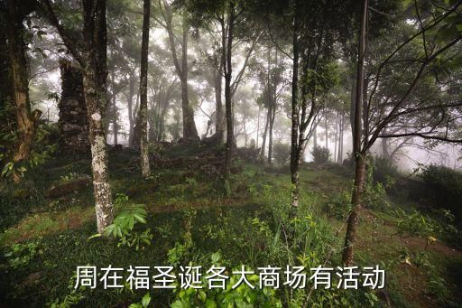 周在福圣诞各大商场有活动