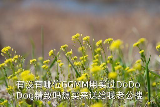 有没有哪位GGMM用买过DoDo Dog精致吗想买来送给我老公搜