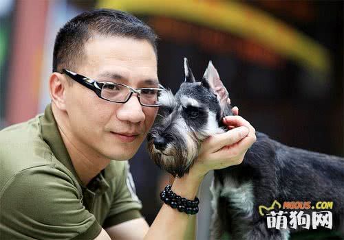 五种圣诞礼品最受宠物欢迎