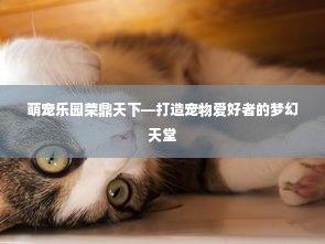 萌宠乐园荣鼎天下—打造宠物爱好者的梦幻天堂