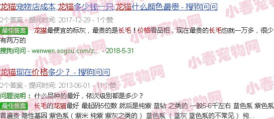 金色长毛龙猫价格
