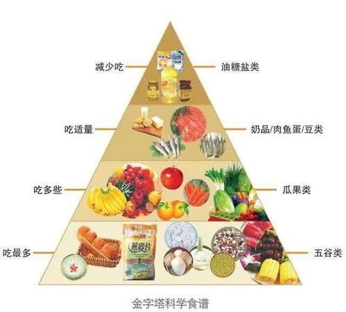 宠物饮食:营养均衡之道