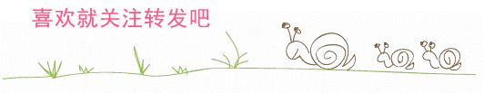 《聪明的乌龟》教案及反思-幼师课件网第3张图片