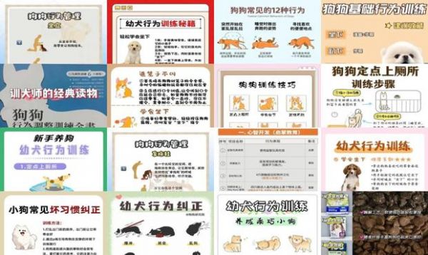 纠正狗狗的不良行为训练视频 - 狗狗行为调整训练全书-第1张图片-漂亮宠物百科网