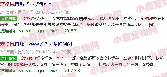 宠物鼠笼子