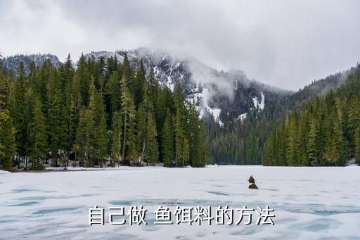 自己做 鱼饵料的方法